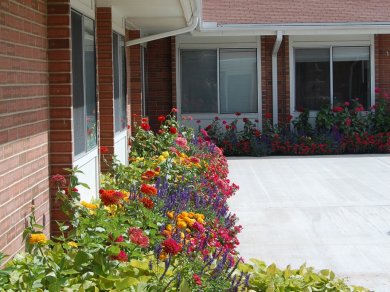 Commercial Landscape Maintenance