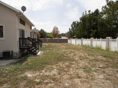 Full Yard Looking South