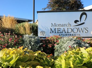 Monarch Meadows