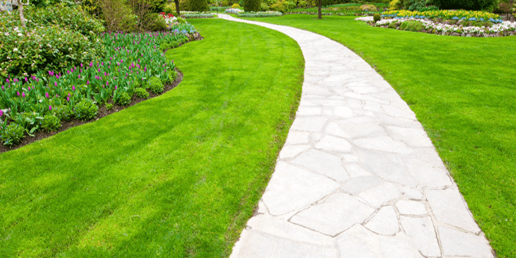 Tips for a Green Lawn - Affordable Lawn Care and Landscape