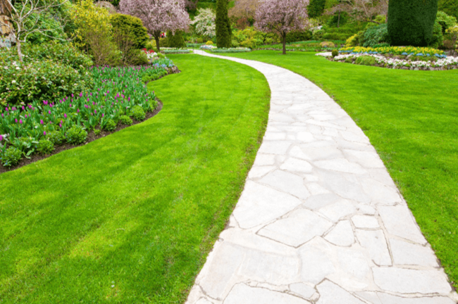 Tips for a Green Lawn - Affordable Lawn Care and Landscape