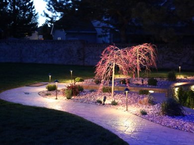 Entrance Trees Lightning-Landscape Lighting