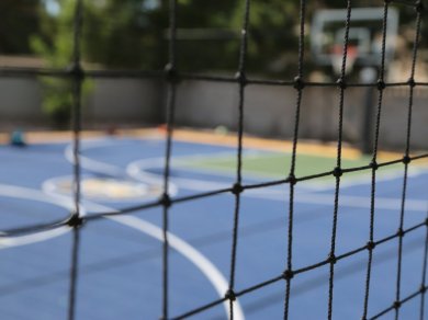 Backyard Court Experience