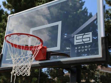 Backyard Court Experience