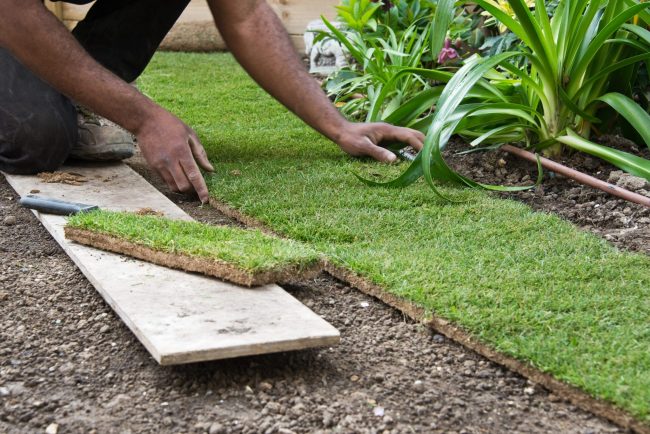 Landscapers Help in Making Your Dream Playground