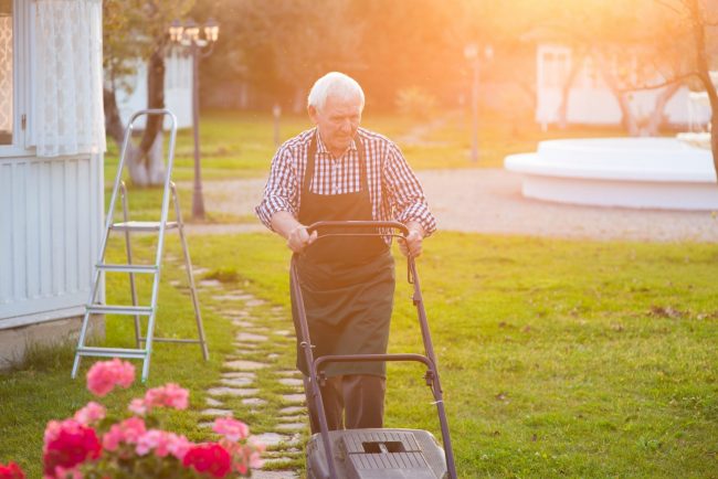 How do I choose a lawn care service?