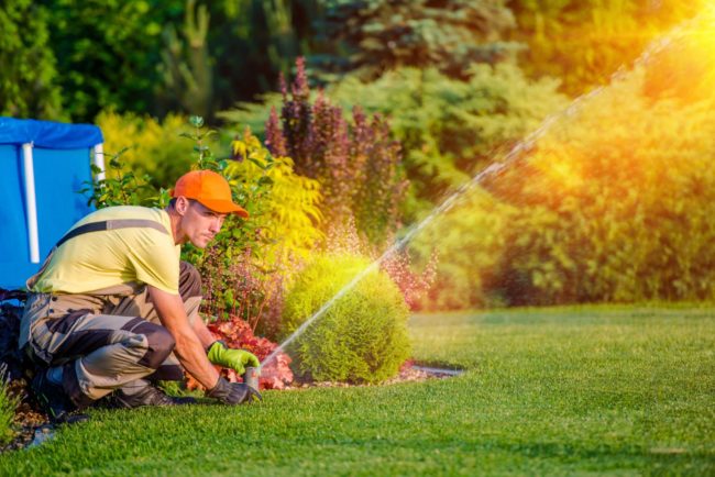 Is Landscaping Good For The Environment?