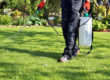 lawn fertilizers