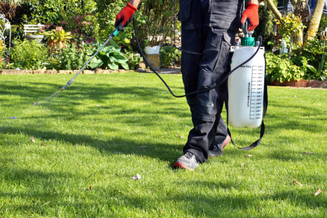 lawn fertilizers