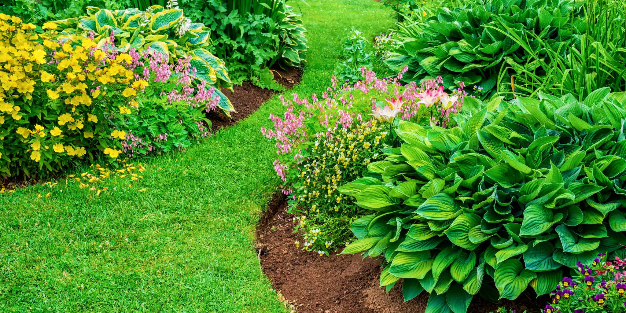 flower bed maintenance