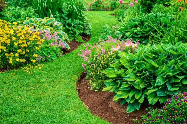 flower bed maintenance