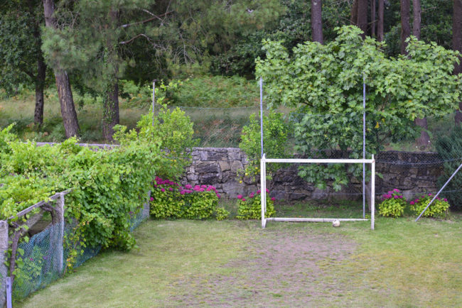 Materials are Used for Making a Football Backyard Court | Affordable Lawn Care and Landscape