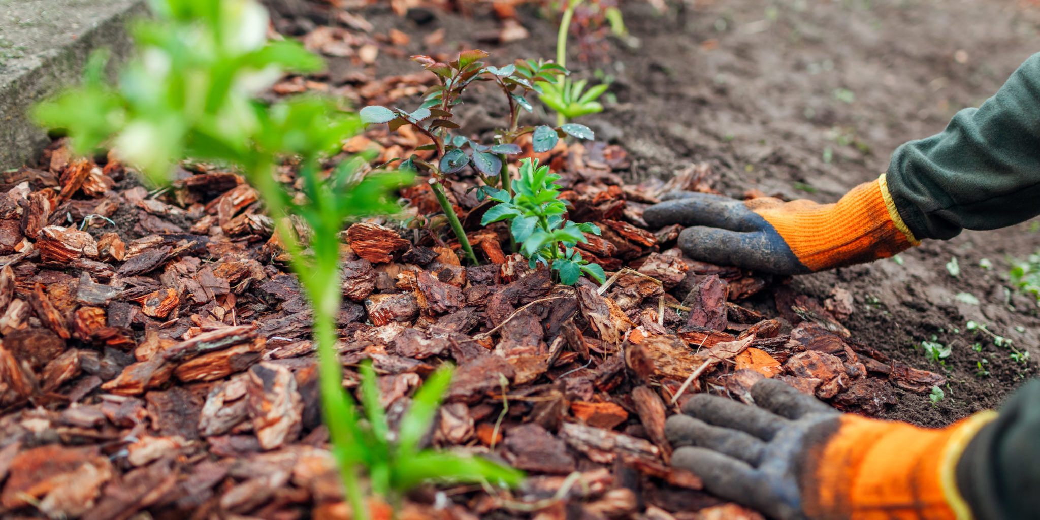 How do you make the Flower Beds Less Maintenance