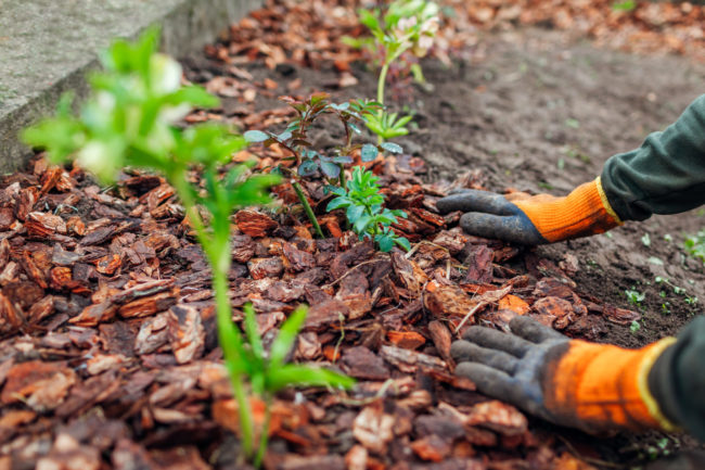 How do you make the Flower Beds Less Maintenance