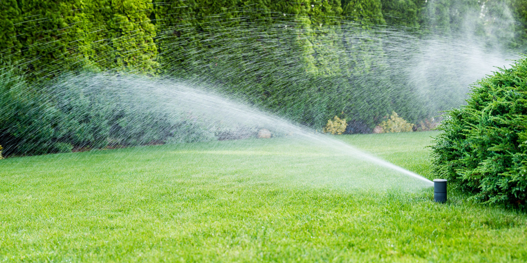 What should you do to repair a Sprinkler riser