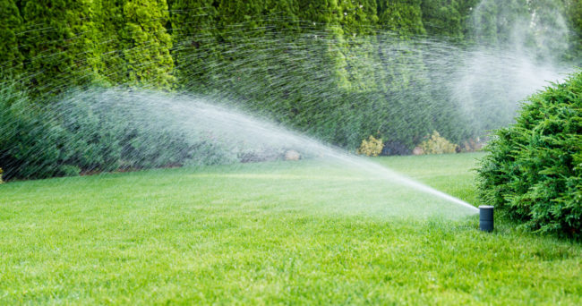 What should you do to repair a Sprinkler riser