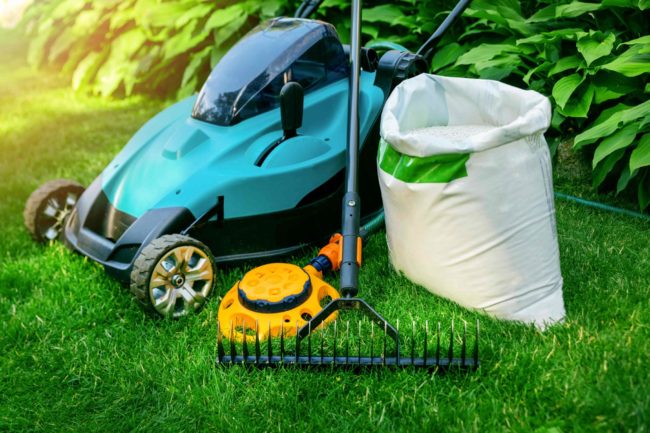 What Services Do Most Lawn Care Companies Provide