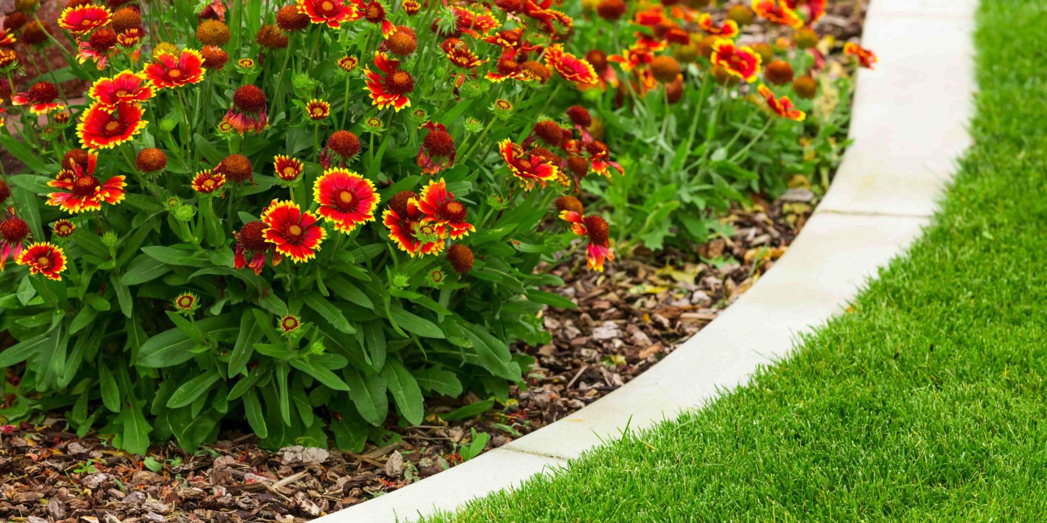 Top 4 Benefits of Flower Bed Care and Management