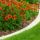 Top 4 Benefits of Flower Bed Care and Management