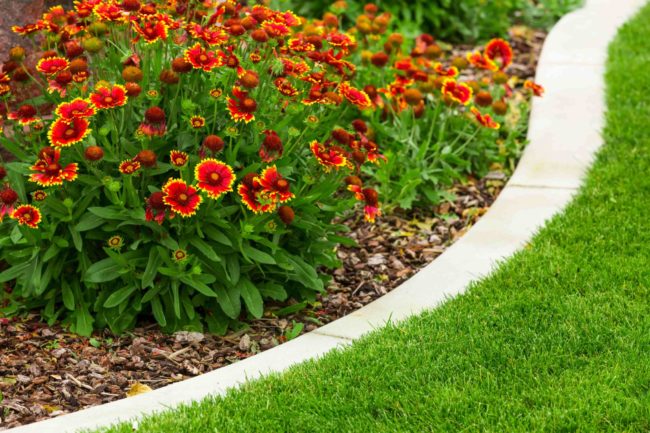 Top 4 Benefits of Flower Bed Care and Management